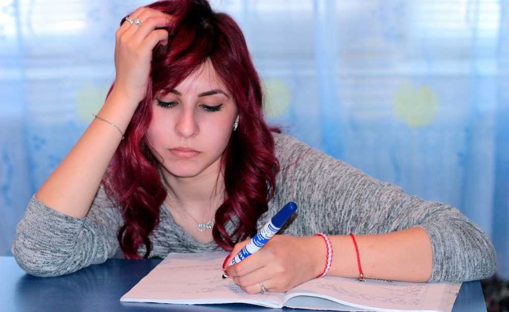 top 5 elements to choose a reliable essay writing service studynama reliable essay writing service
